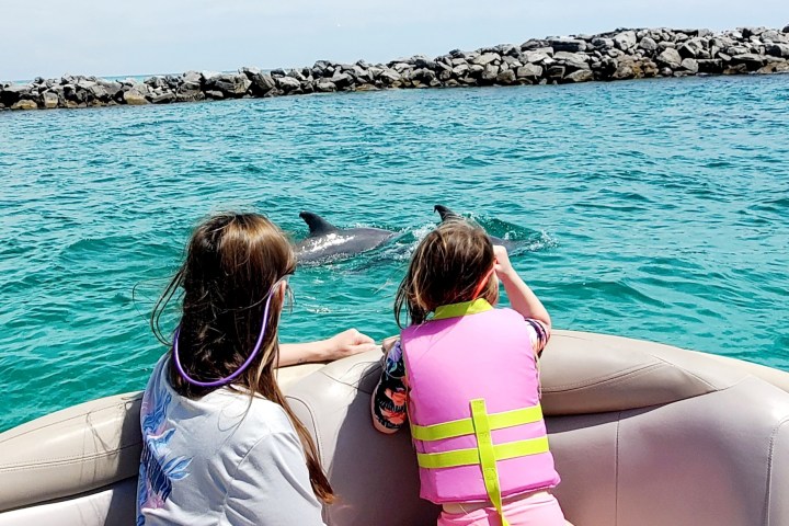 Two children on a boat watching dolphins swim nearby in the ocean.