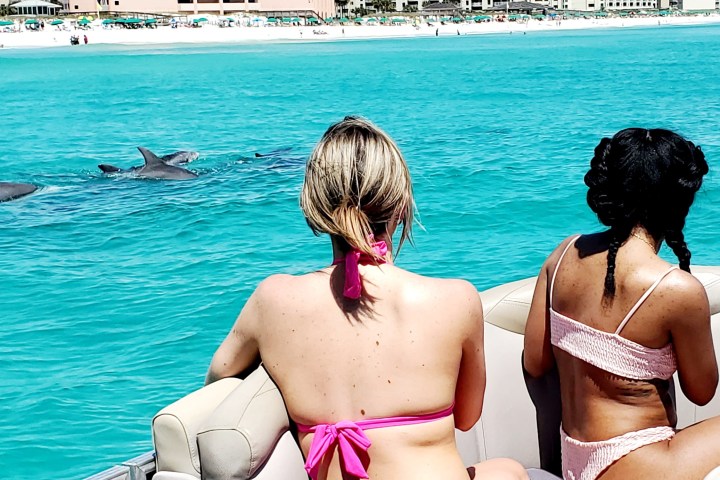 Two women on a boat watching dolphins in the ocean near a beach.