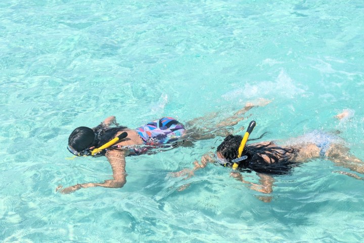 Two people snorkeling in clear blue water, wearing masks and snorkels.