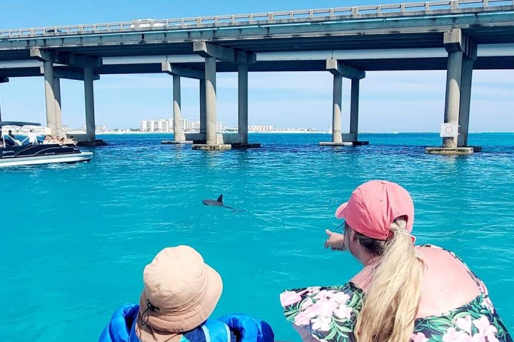 Two people on a boat pointing at a dolphin in blue water near a bridge.