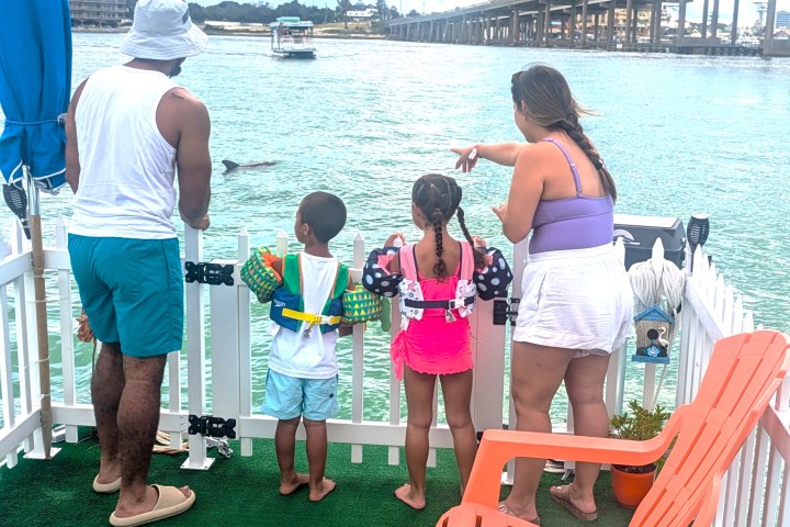 Family of four in swimsuits watching the water from a boat deck.