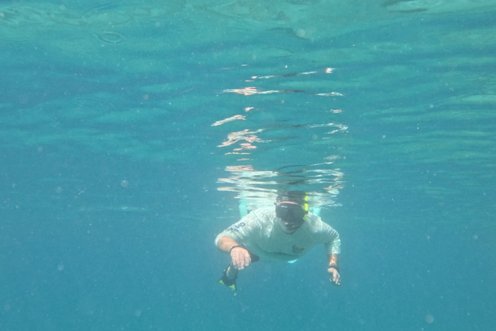 Person snorkeling underwater in clear blue sea.